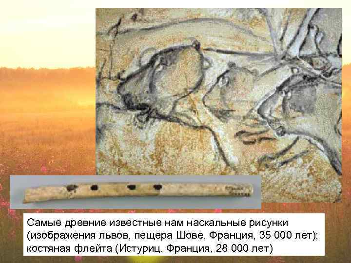 Самые древние известные нам наскальные рисунки (изображения львов, пещера Шове, Франция, 35 000 лет);