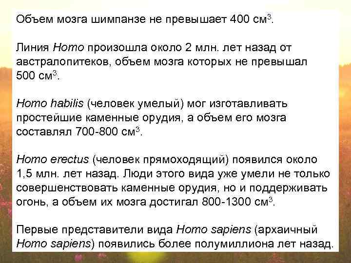 Объем мозга шимпанзе не превышает 400 см 3. Линия Homo произошла около 2 млн.