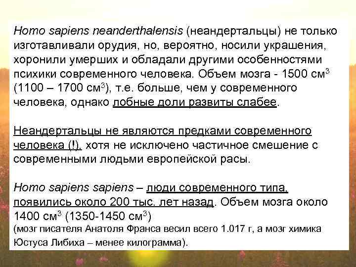 Homo sapiens neanderthalensis (неандертальцы) не только изготавливали орудия, но, вероятно, носили украшения, хоронили умерших
