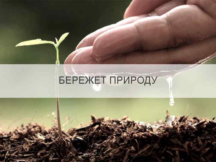 БЕРЕЖЕТ ПРИРОДУ 