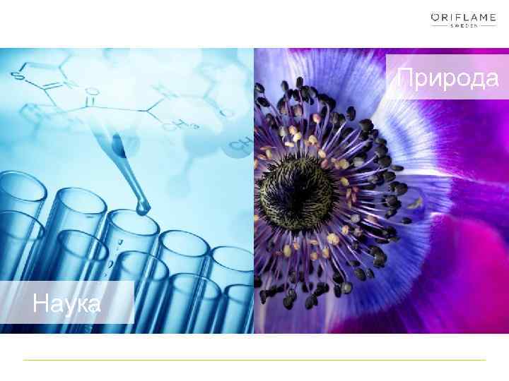 Природа Наука 