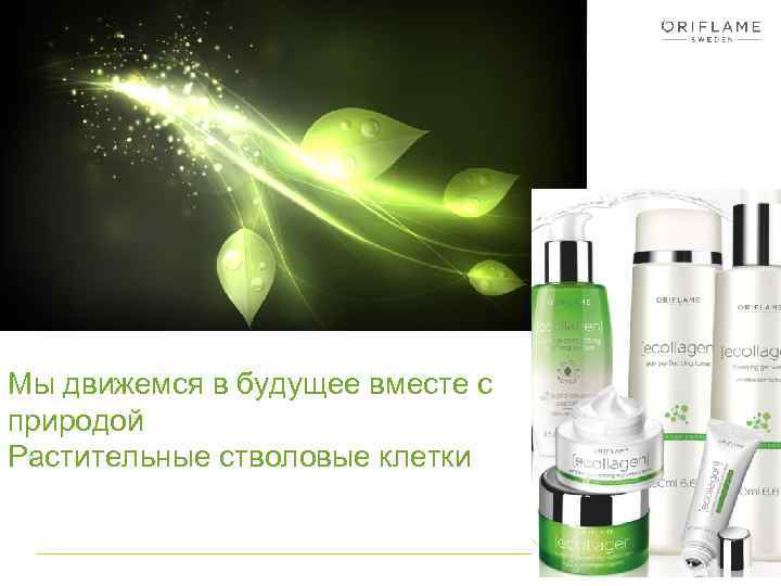 Мы движемся в будущее вместе с природой Растительные стволовые клетки 
