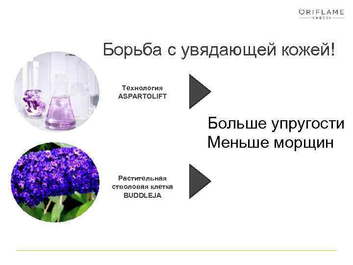 Борьба с увядающей кожей! Технология ASPARTOLIFT Больше упругости Меньше морщин Растительная стволовая клетка BUDDLEJA
