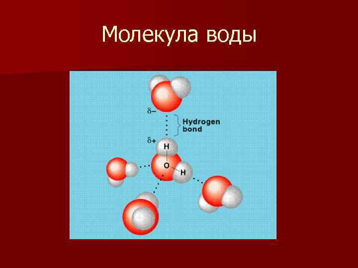 Молекула воды 