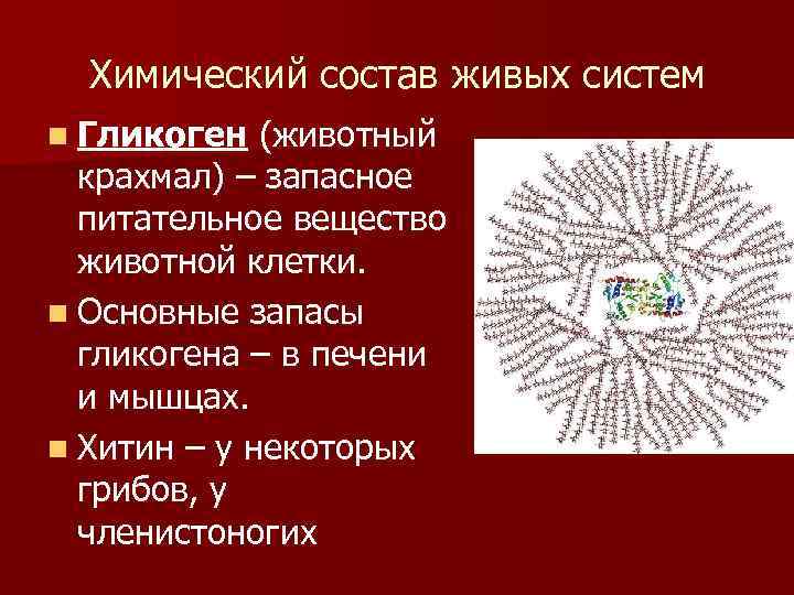 Химический состав живых систем n Гликоген (животный крахмал) – запасное питательное вещество животной клетки.