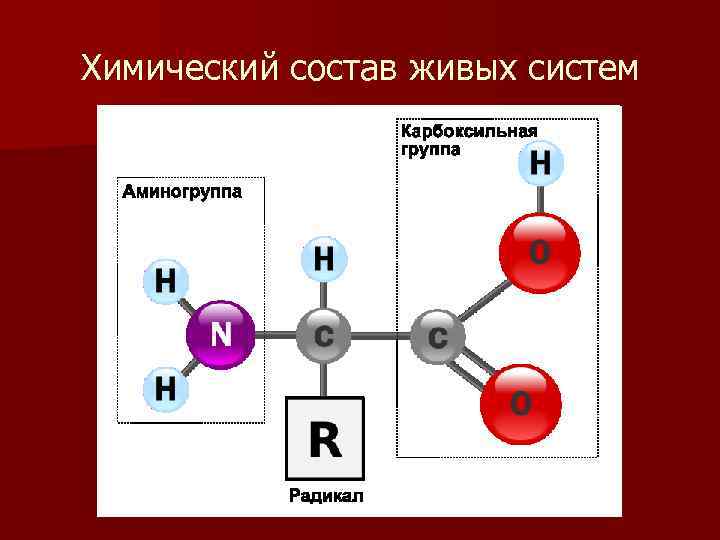 Система n. Химия живых систем. Химический состав живых систем биология. Хим состав живых систем. Тест химический состав живых систем.