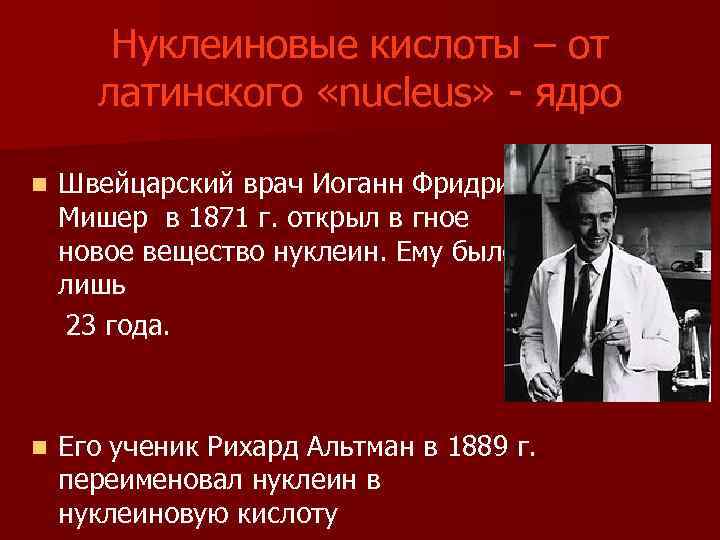 Нуклеиновые кислоты – от латинского «nucleus» - ядро Швейцарский врач Иоганн Фридрих Мишер в