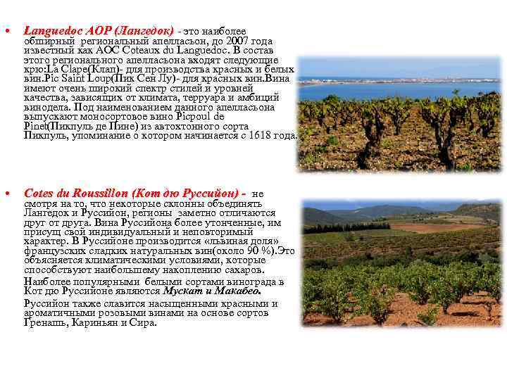  • Languedoc AOP (Лангедок) - это наиболее • Cotes du Roussillon (Кот дю