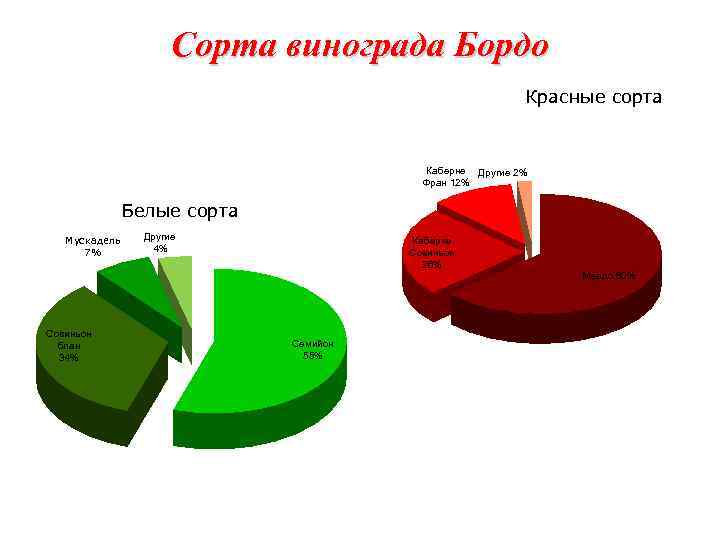 Сорта винограда Бордо Красные сорта Каберне Другие 2% Фран 12% Белые сорта Мускадель 7%