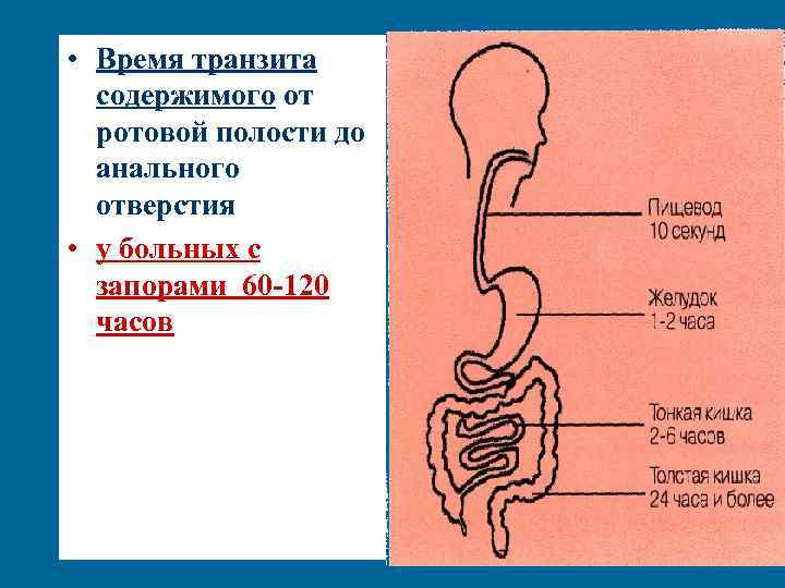 Хронические запоры презентация