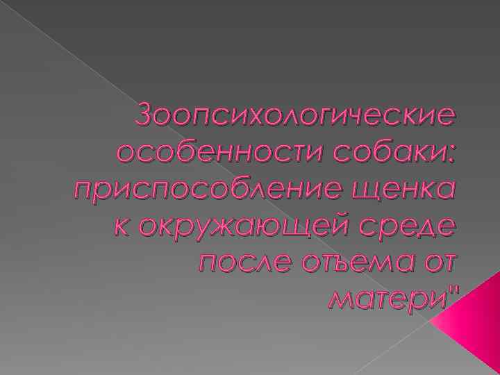 Зоопсихологические особенности собаки: приспособление щенка к окружающей среде после отъема от матери" 