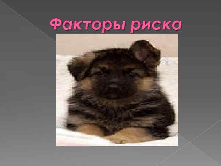 Факторы риска 