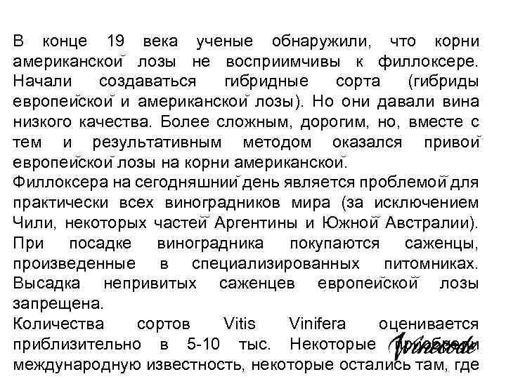 В конце 19 века ученые обнаружили, что корни американскои лозы не восприимчивы к филлоксере.