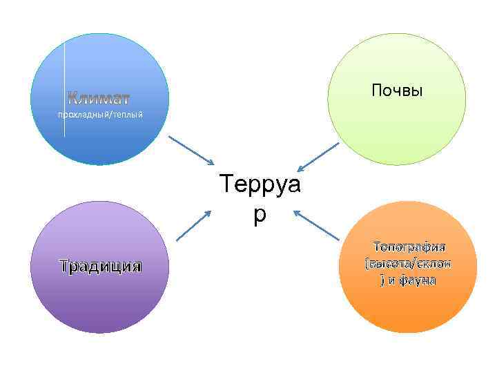 Почвы прохладный/теплый Терруа р Традиция Топография (высота/склон ) и фауна 