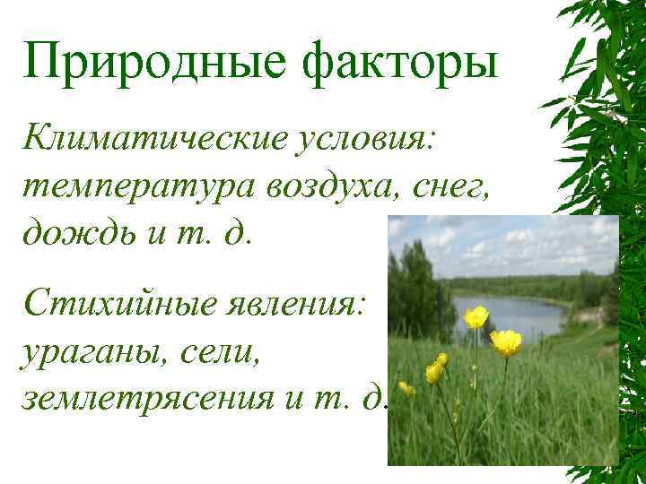 Природные факторы Климатические условия: температура воздуха, снег, дождь и т. д. Стихийные явления: ураганы,