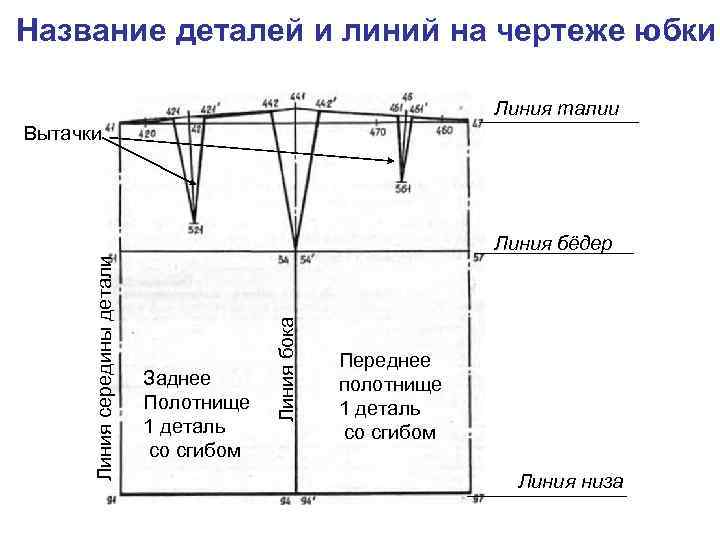 Линия талии на чертеже