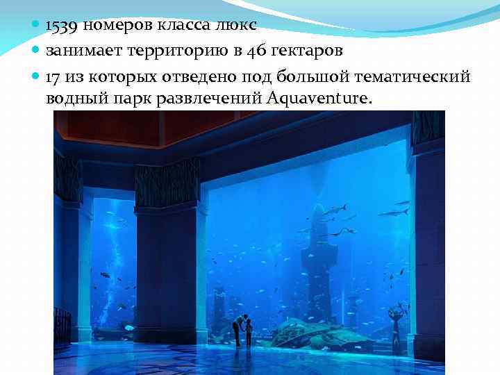  1539 номеров класса люкс занимает территорию в 46 гектаров 17 из которых отведено