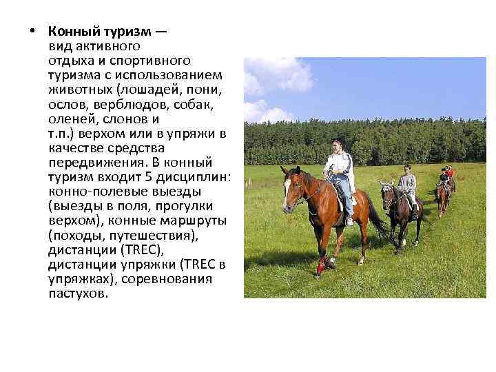  • Конный туризм — вид активного отдыха и спортивного туризма с использованием животных