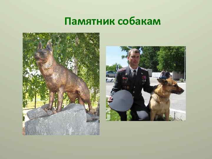 Памятник собакам 