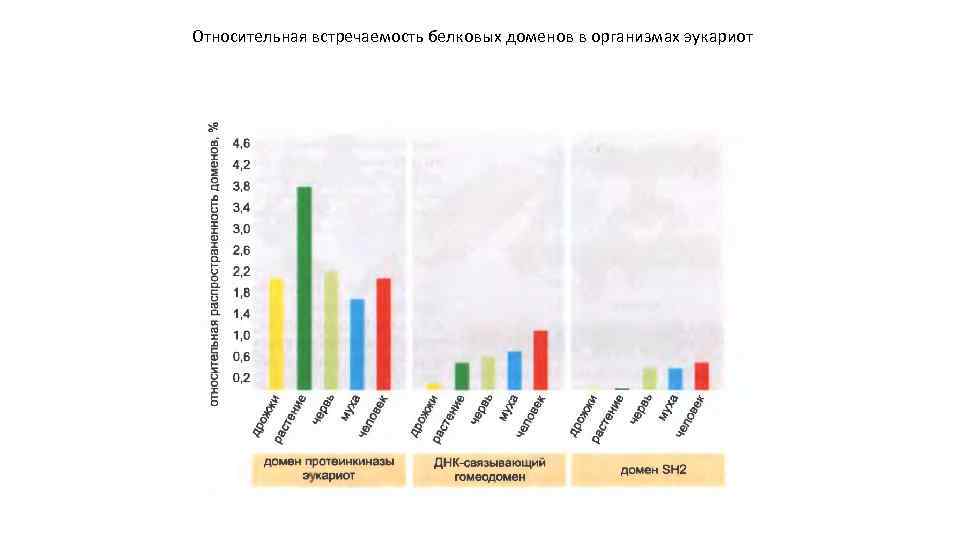 Относительная встречаемость белковых доменов в организмах эукариот 