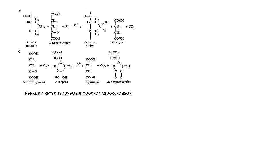 Биофизика биохимия. Реакции катализируемые витамином b7. Реакции катализируемые витамином в5. Гидроксилирование лизина биохимия. Реакции катализируемые витамином с.