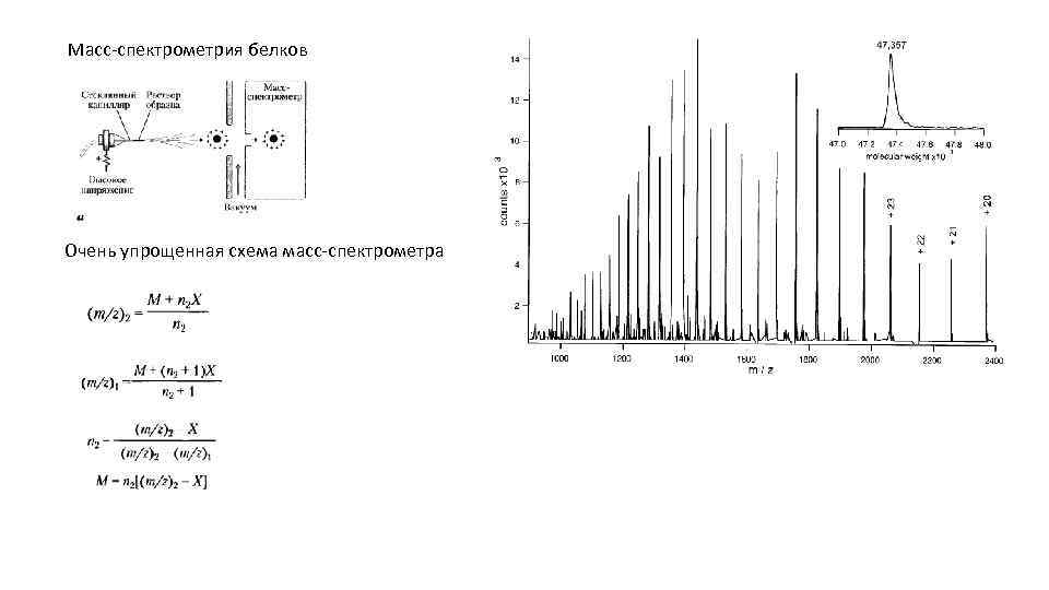 Метод спектрометрии. Масс-спектрометрия белки. Масс спектр белка. Метод масс-спектрометрии белков. Идентификация белков масс спектрометрия.