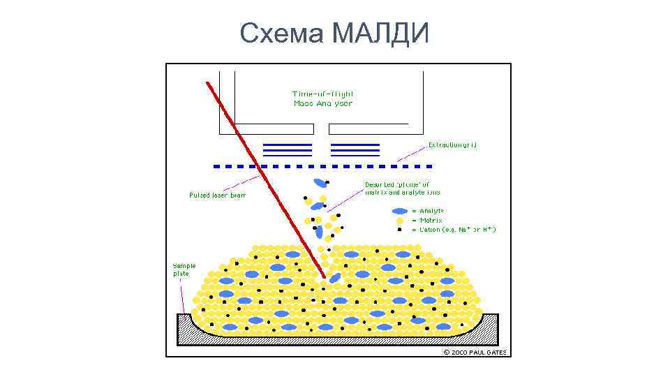 Схема МАЛДИ 