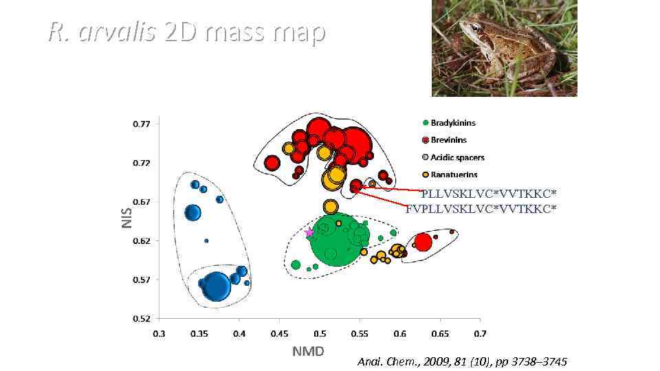 R. arvalis 2 D mass map PLLVSKLVC*VVTKKC* FVPLLVSKLVC*VVTKKC* Anal. Chem. , 2009, 81 (10),