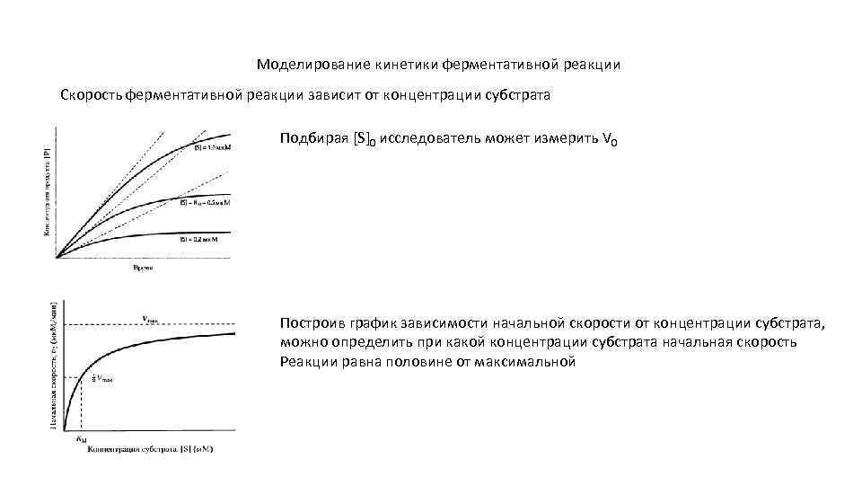 В зависимости от начальной. Начальная и максимальная скорость ферментативной реакции.. Зависимость концентрации субстрата от скорости начальной реакции. Кинетика ферментативных реакций концентрация субстрата. Скорость ферментативной реакции от концентрации субстрата.