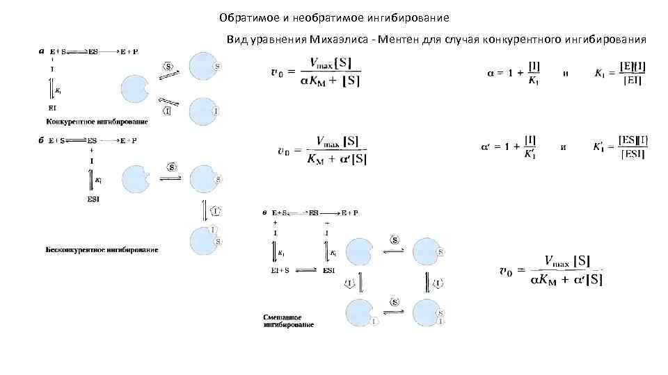 Обратимое и необратимое ингибирование Вид уравнения Михаэлиса - Ментен для случая конкурентного ингибирования 