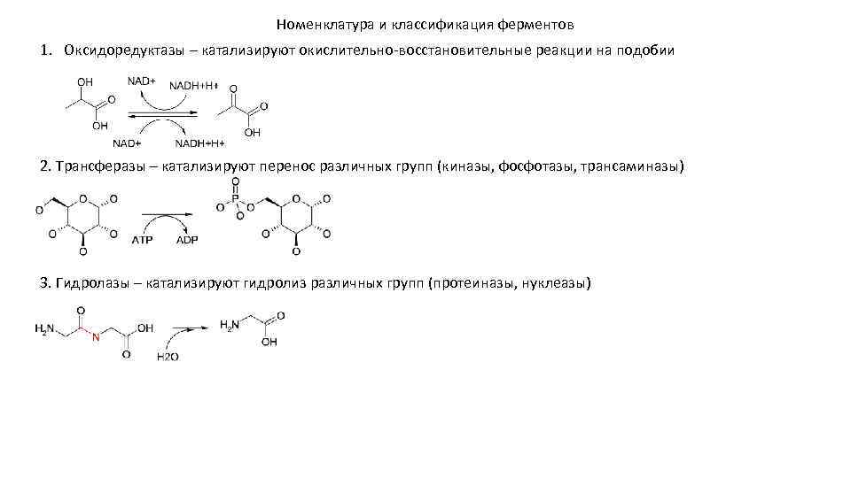 Номенклатура и классификация ферментов 1. Оксидоредуктазы – катализируют окислительно-восстановительные реакции на подобии 2. Трансферазы
