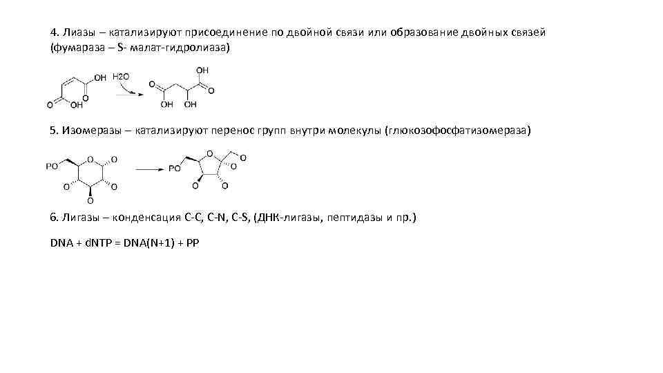 4. Лиазы – катализируют присоединение по двойной связи или образование двойных связей (фумараза –