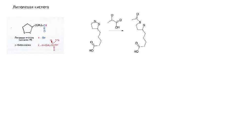 Липолевая кислота 