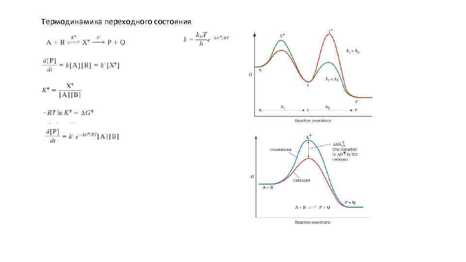 Термодинамика переходного состояния 