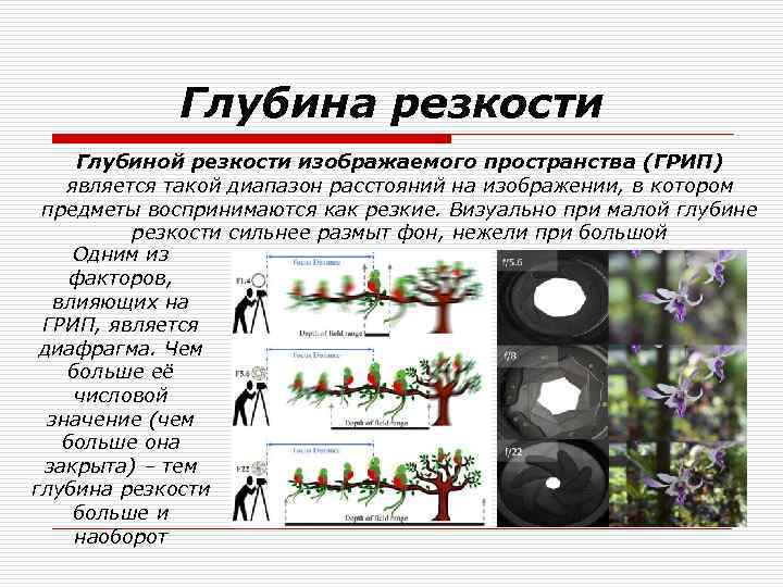 От чего зависит изображение. Глубина резкости изображаемого пространства. Диафрагма и глубина резкости. Грип глубина резкости. Грип глубина резко изображаемого пространства.