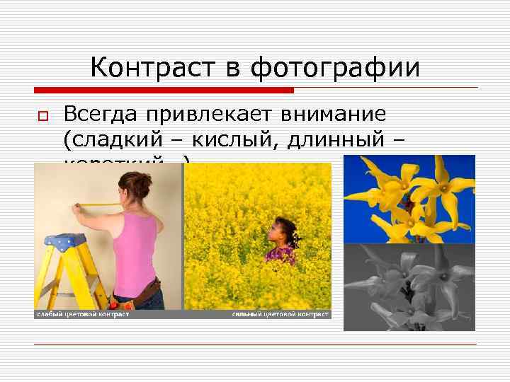 Контраст в фотографии o Всегда привлекает внимание (сладкий – кислый, длинный – короткий…) 