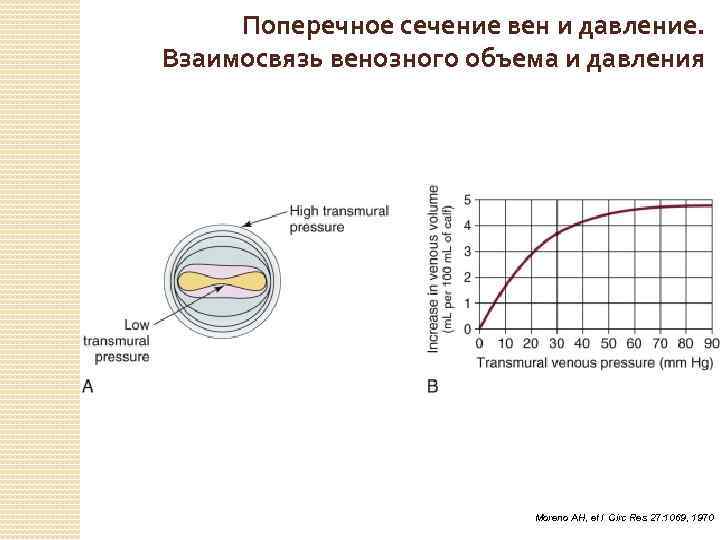 Поперечное сечение вен и давление. Взаимосвязь венозного объема и давления Moreno AH, et l Circ