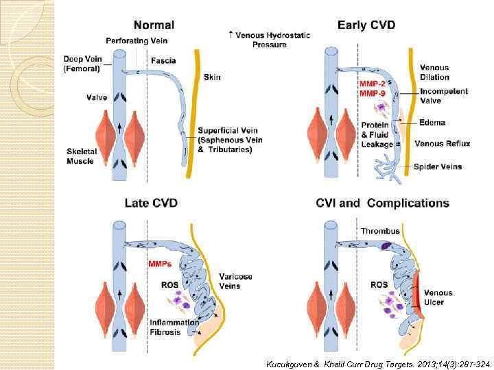 Kucukguven & Khalil Curr Drug Targets. 2013; 14(3): 287 -324. 