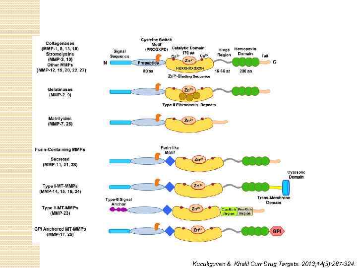 Kucukguven & Khalil Curr Drug Targets. 2013; 14(3): 287 -324. 