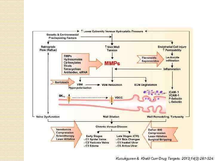 Kucukguven & Khalil Curr Drug Targets. 2013; 14(3): 287 -324. 