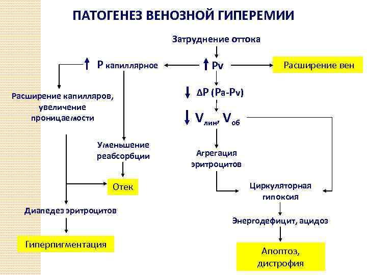 ПАТОГЕНЕЗ ВЕНОЗНОЙ ГИПЕРЕМИИ Затруднение оттока Р капиллярное Расширение капилляров, увеличение проницаемости Уменьшение реабсорбции Отек