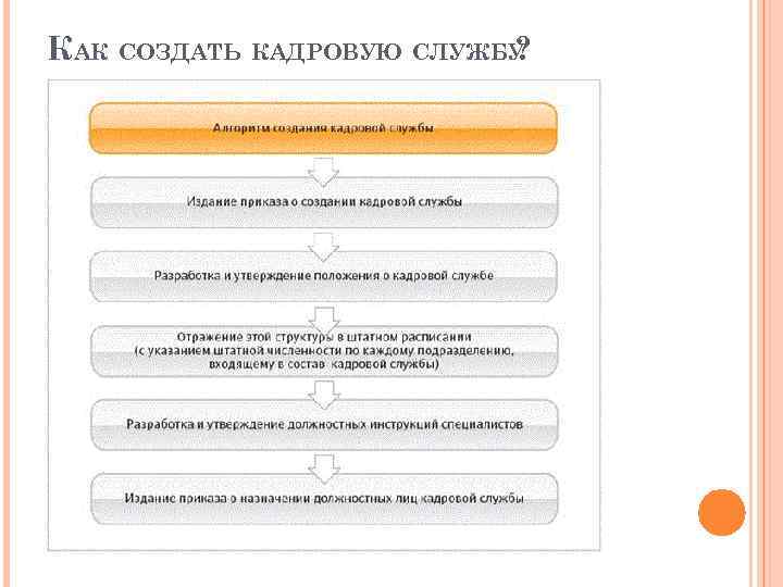 КАК СОЗДАТЬ КАДРОВУЮ СЛУЖБУ ? 