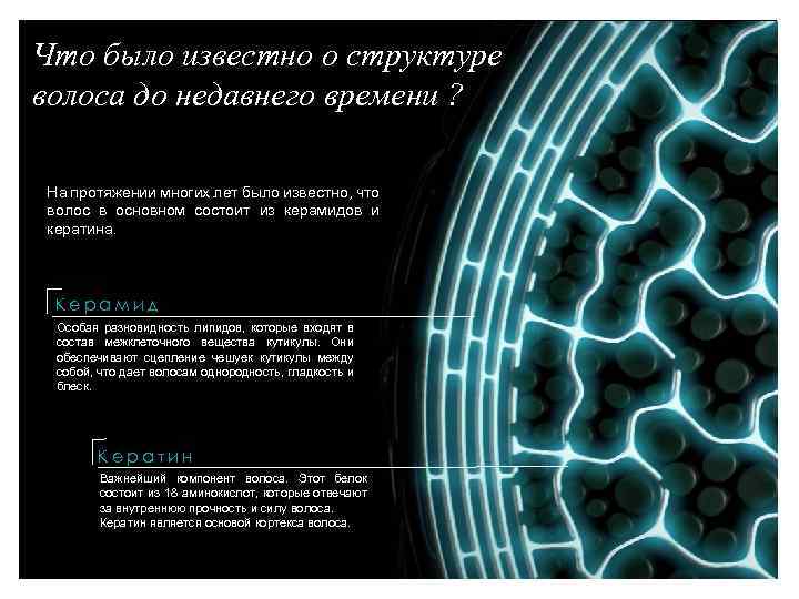 Что было известно о структуре волоса до недавнего времени ? На протяжении многих лет