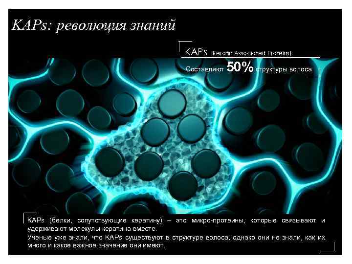 KAPs: революция знаний KAPs (Keratin Associated Proteins) Составляют 50% структуры волоса KAPs (белки, сопутствующие
