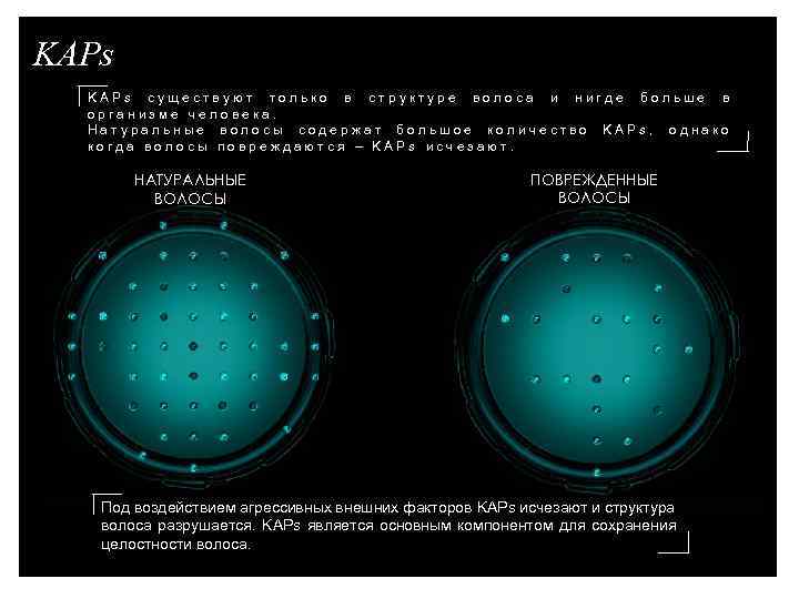 KAPs существуют только в структуре волоса и нигде больше в организме человека. Натуральные волосы