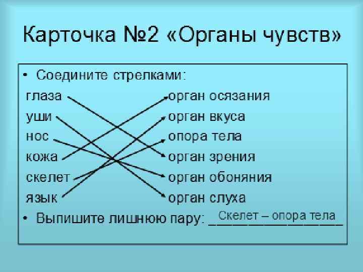 Окружающий мир 3 класс опора тела. Презентация по окружающему миру 3 класс опора тела и движение. Опора тела и движения 3 класс окружающий мир презентация. Карточки опоры по окружающему миру. Опора тела и движение презентация 3 класс окружающий мир Плешаков.