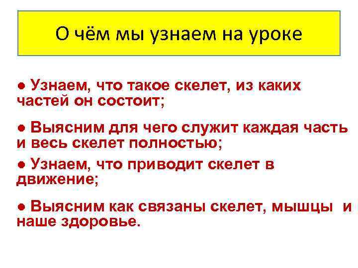 О чём мы узнаем на уроке ● Узнаем, что такое скелет, из каких частей