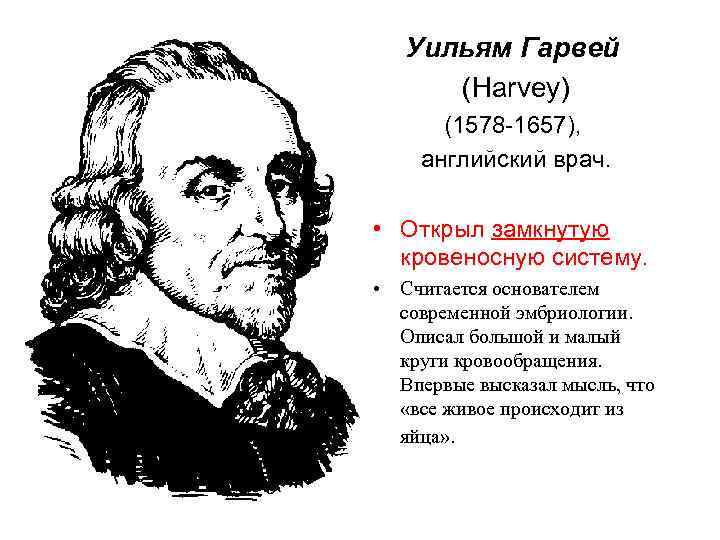 Уильям Гарвей (Harvey) (1578 -1657), английский врач. • Открыл замкнутую кровеносную систему. • Считается