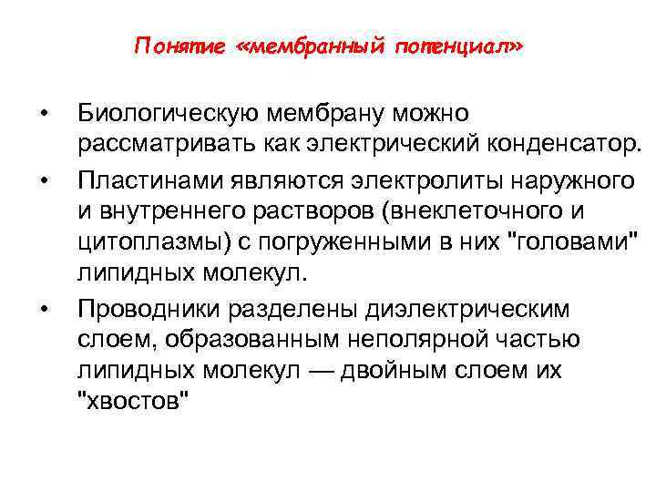 Понятие «мембранный потенциал» • • • Биологическую мембрану можно рассматривать как электрический конденсатор. Пластинами