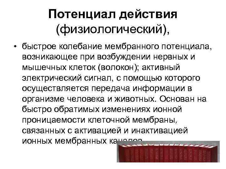 Потенциал действия (физиологический), • быстрое колебание мембранного потенциала, возникающее при возбуждении нервных и мышечных